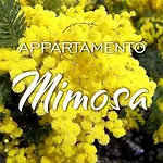 Kaora *