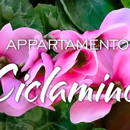Apartment Kaora *