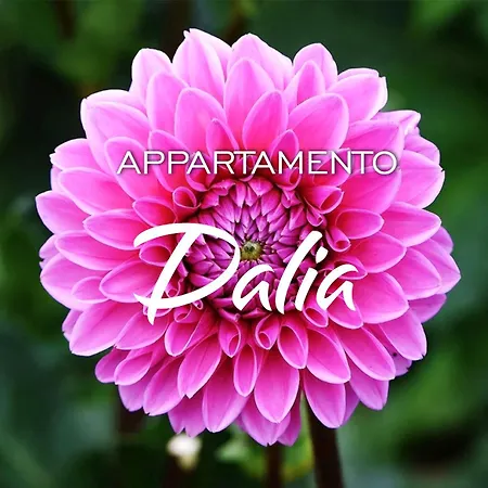 Kaora Agropoli