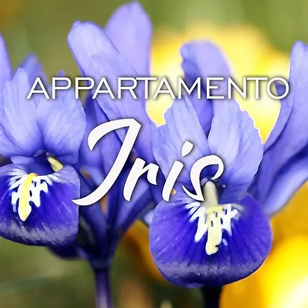Appartement Kaora