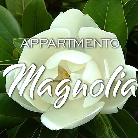 Kaora Appartement